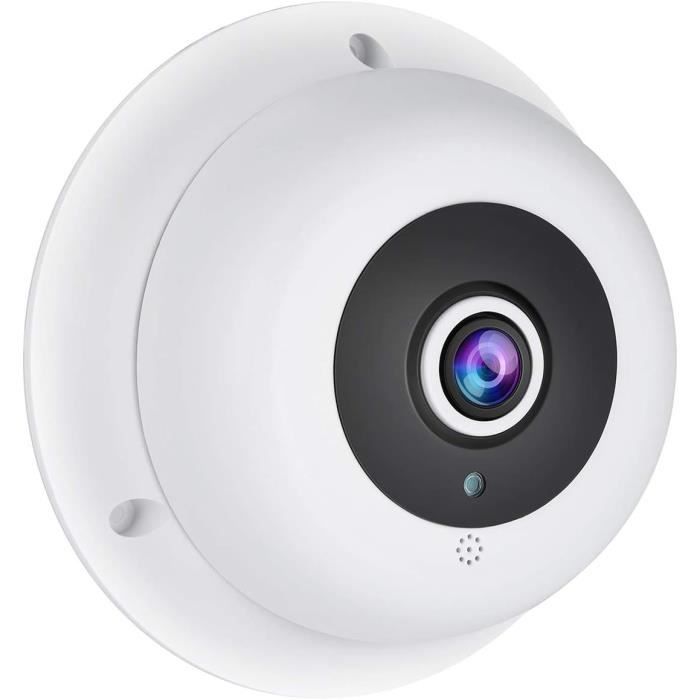 Caméras Fisheye avec pan-tilt-zoom (PTZ) grand angle de 180