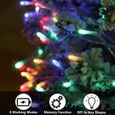 Guirlande lumineuse exterieure - SDLOGAL - 100 LED 10m - 8 modes d'éclairage - couleur fixe-1