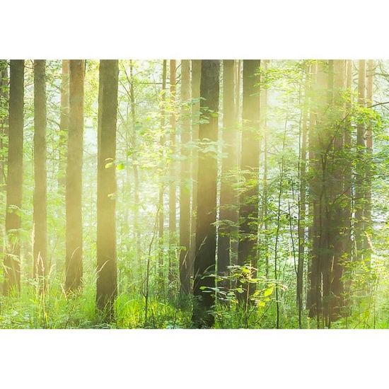 Stickers soleil Forêt Drapeau Drapeau 8 x 5 cm des autocollants Stickers soleil Forêt Drapeau Drapeau 8 x 5 cm des autocollants