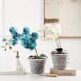 YOSOO Lot de 5 pots à orchidées transparents avec soucoupes - Pot en plastique pour orchidée, pratique et durable-3