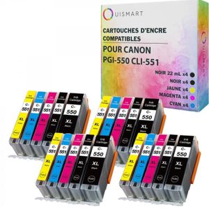 Acheter Cartouche d'encre noire à haut rendement Canon PGI-550XL