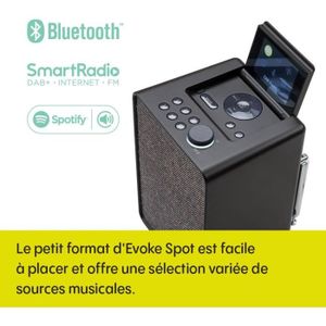 RADIO CD CASSETTE Pure Evoke Spot Système de Musique Compact pour la