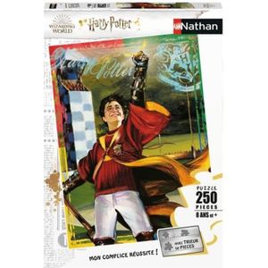 PUZZLE Puzzle 250 pièces Harry Potter - La passion du Quidditch - Ravensburger Nathan