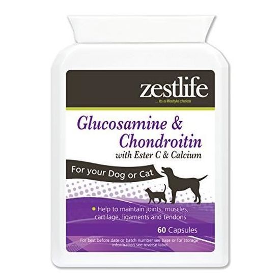 Zestlife Glucosamine pour chiens 60 capsules pour les articulations