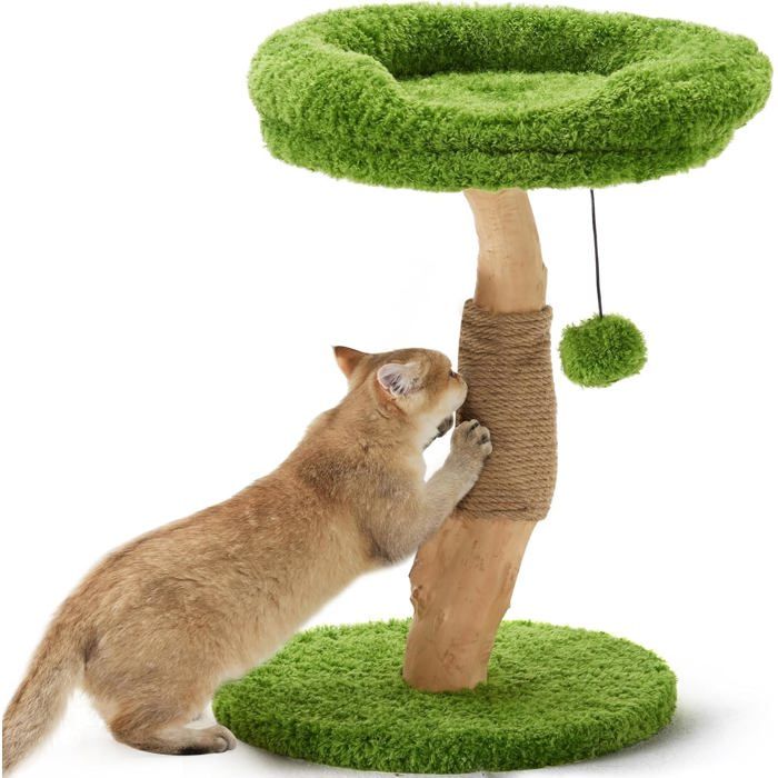 Meilleurs prix pour Arbre À Chat Avec Lit Griffoir En Bois Massif Petit Arbre À Chat Avec Corde De Jute Naturelle Pour Chatons Et Chats DIntérieu