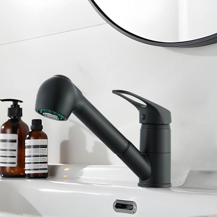 Robinet de Cuisine Noir avec Douchette Extractible 2 Jets Mitigeur Cuisine Pivotant 360° Eau Froide et Chaude Robinet de Cuisine Noir avec Douchette Extractible 2 Jets Mitigeur Cuisine Pivotant 360° Eau Froide et Chaude