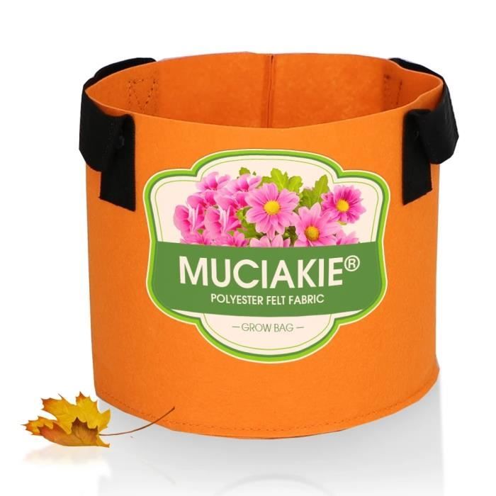 Passoire Mini 15,2 Cm ASEANAO - Avec Deux Poignées - Sans BPA - Pour Fruits, Légumes, Pâtes - Lavable Lave-vaisselle