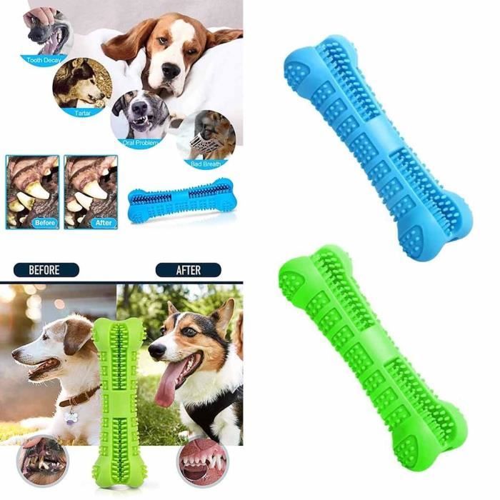 Doggo care toothbrush shop