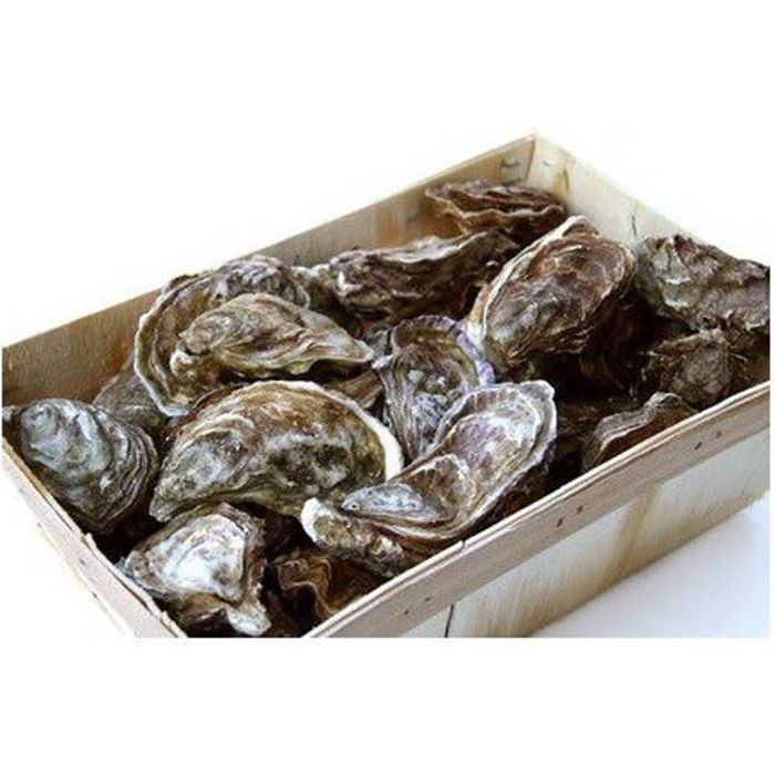 48 Huitres Gillardeau Numero 3 Crassostrea Gigas Cdiscount Au Quotidien 48 Huitres Gillardeau Numero 3 Crassostrea Gigas Cdiscount Au Quotidien
