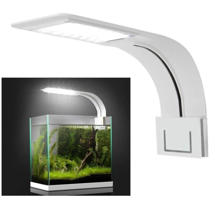 Kit Aquarium Complet – Avec LED, Pompe, Pierres Décoratives Et Filet – 22,5 X 15 X 28 Cm, Parfait Pour Bureau Ou Salon