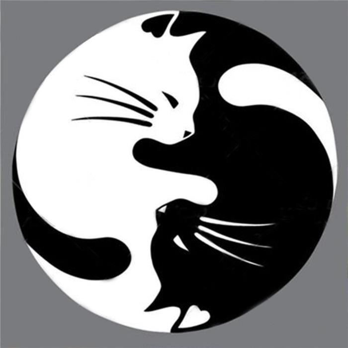 Xm9368 369 Peinture Diamant Chat Noir Et Blanc Diamond Painting 5d Embroidery Paintings Rhinestone Pasted Diy Diamond Cdiscount Maison