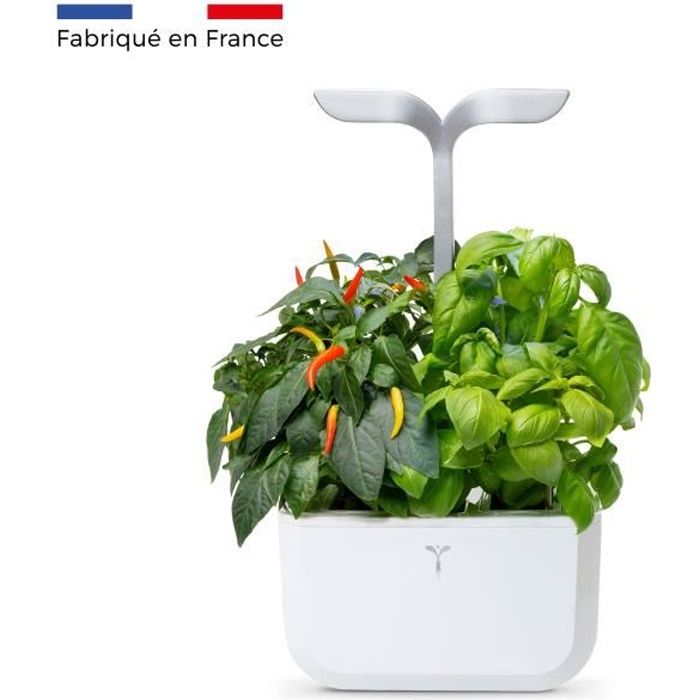 Potager d'intérieur Véritable® Exky® SMART Arctic White, inclus 2 Lingots® : Basilic grand vert BIO et Persil frisé BIO