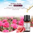 Amber Arctic 10ml d’huile essentielle de rose -Huiles de rose aromathérapie pure pour diffuseur, massage, parfum-3