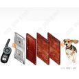 TD® collier chien anti-aboiements dressage electrique avec telecommande chat grand personnalisé moyenne taille animaux de compagnie-3