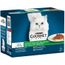 Purina One Special Chat Sterilise D Interieur Au Poulet Et Cereales Completes 1 5 Kg Lot De 3 Achat Vente Croquettes Purina One Special Chat Steril Cdiscount Purina One Special Chat Sterilise D Interieur Au Poulet Et Cereales Completes 1 5 Kg Lot De 3 Achat Vente Croquettes Purina One Special Chat Steril Cdiscount