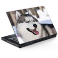Deco Husky Achat Vente Pas Cher