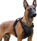 rabbitgoo Harnais Chien Anti Traction avec 3 boucles pour Chien Facile à Mettre Harnais Réfléchissant Réglable pour Chien Noir XL