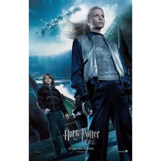 Harry Potter Poster Et La Coupe De Feu Fleur Achat Vente