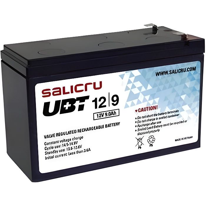 Batterie pour SAI Salicru UBT 013BS-02 12/9 9 Ah 12V