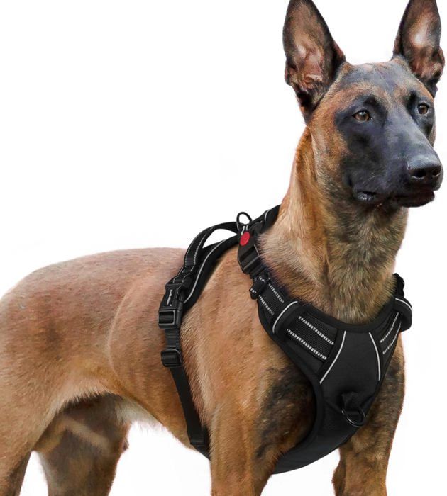Comparer les prix de rabbitgoo Harnais Chien Anti Traction avec 3 boucles pour Chien Facile à Mettre Harnais Réfléchissant Réglable pour Chien Noir XL