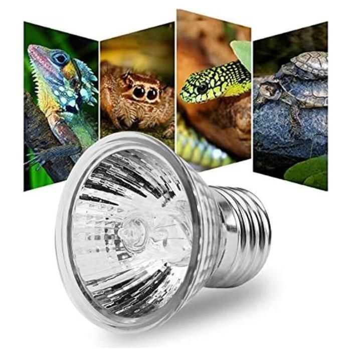 Ampoule chauffante tortue E27 25W 110V reptiles amphibiens animaux domestiques lampe terrarium durable