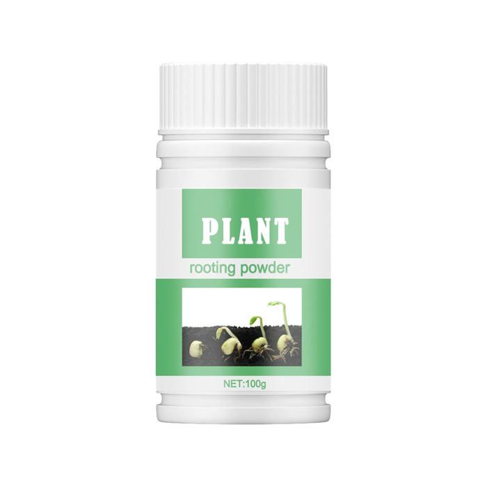 Poudre DEnracinement Pour Boutures Hormones De Bouturage Poudre Stimulateur Racines