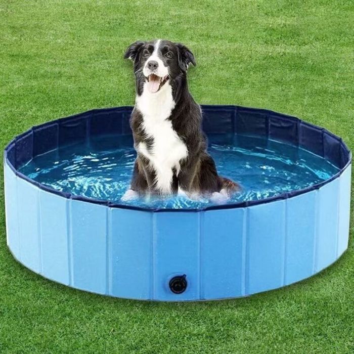 Piscine pour petits et grands chiens pliable antidérapante 80 x 20 cm PVC épais piscine pour chiens denfants.