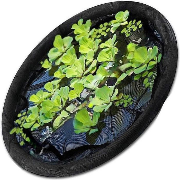 Filet de protection flottant pour plantes aquatiques - Barrière anti poissons Laisse passer la lumière - Bassin jardin aquatique
