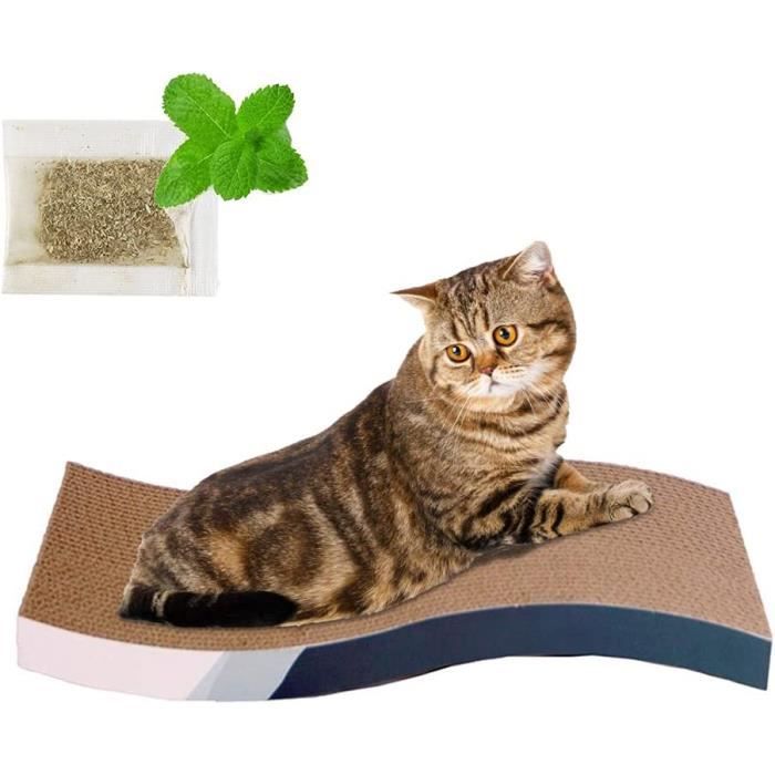 Griffoir pour chat avec herbe à chat, double face design durable pour ...