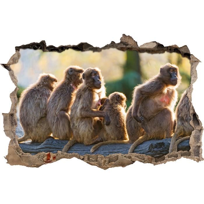 Singe Mignon Famille Percee De Mur En 3d Look Mur Ou Format Vignette De La Porte 62x42cm Stickers Muraux Sticker Mural Decor Cdiscount Maison