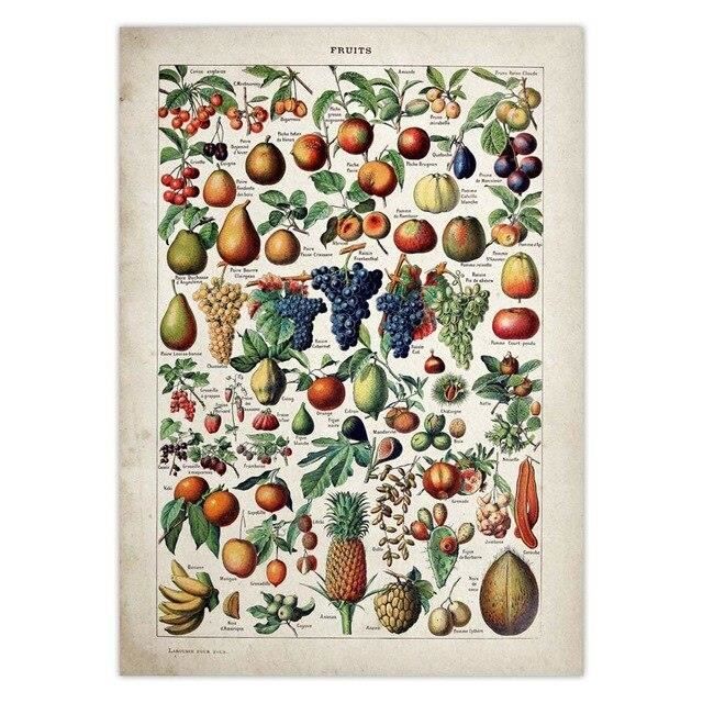 Poster mural vintage champignon par Adolphe Millot - Impression botanique française - Art mural rétro - Décoration pour salon, chambre à coucher et bureau - 20,3 x 30,5 cm - Sans cadre