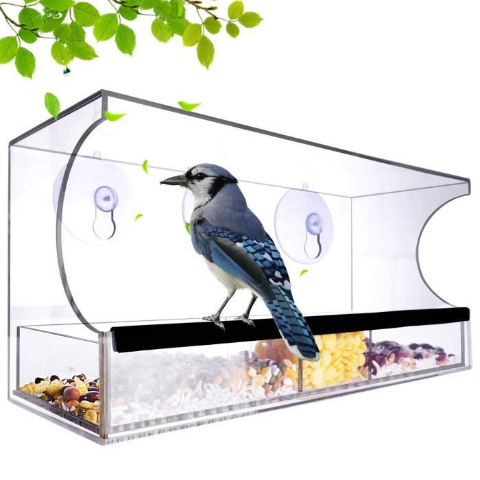 Mangeoire à oiseaux de fenêtre avec ventouses solides Mangeoire de fenêtre  d'oiseau avec amovible