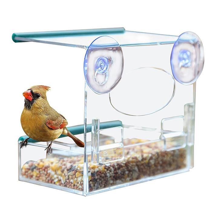 Mangeoire à oiseaux en verre transparent, 1 pièce, fenêtre de visualisation  des oiseaux, Table d'hôtel, graines, arachide, a gye1267 - Cdiscount
