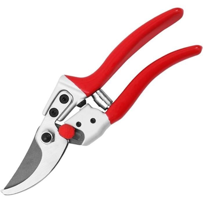 Sécateur Jardin - GREENGERS | Pour Taille Fleurs, Jeunes Pousses | Lame Franche Et Poignée Confort