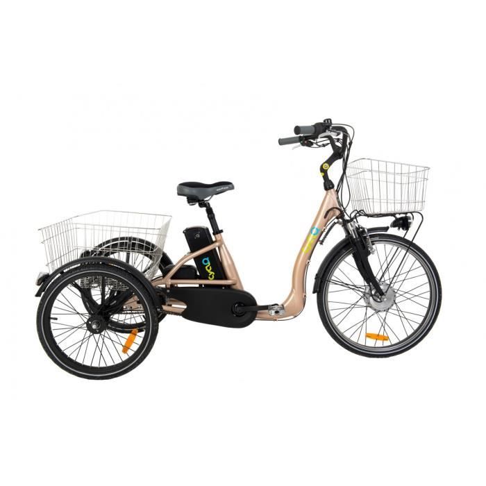 Tricycle électrique cyclo2 comfort 24 clearance