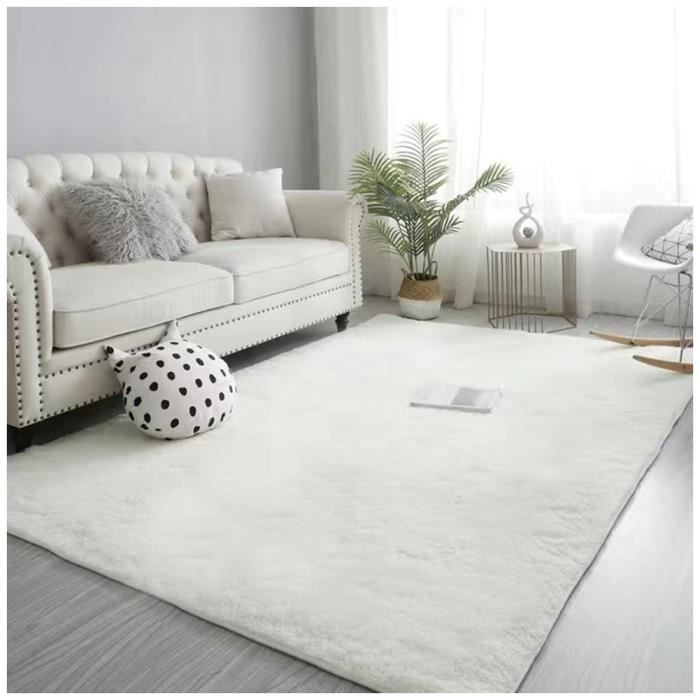 Tapis Doux Gris Clair 80x160 Cm - Moelleux, Antidérapant Et Lavable - Parfait Pour Salon Et Chambre