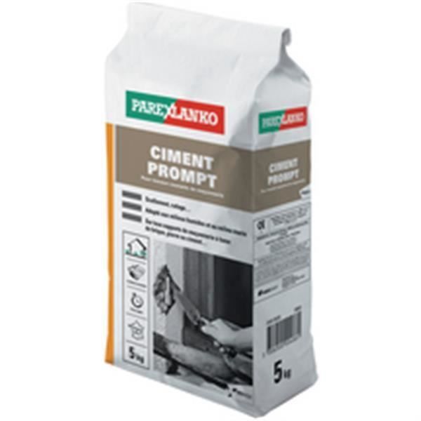 Parexlanko Ciment prompt gris sac de 5kg - OD