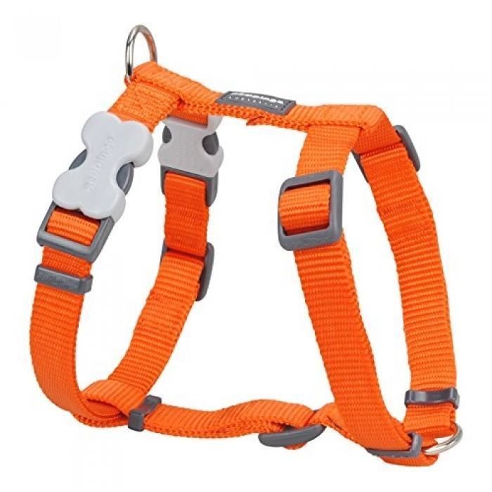 Harnais pour chien - RED DINGO - Orange - Taille M - 37-55 cm - Largeur 15 mm Harnais pour chien - RED DINGO - Orange - Taille M - 37-55 cm - Largeur 15 mm