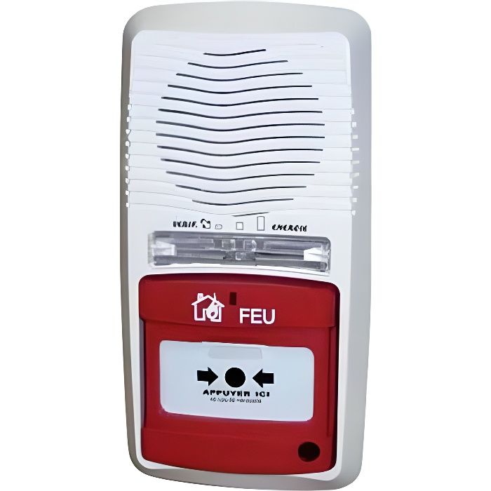 Alarme type 4 autonome à pile