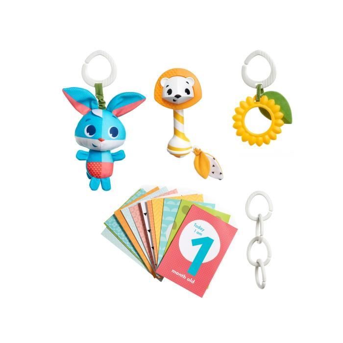 TINY LOVE Set cadeau : un jouet, 12 cartes étapes, hochet, Tournesol tactile, 4 clips pour fixation,