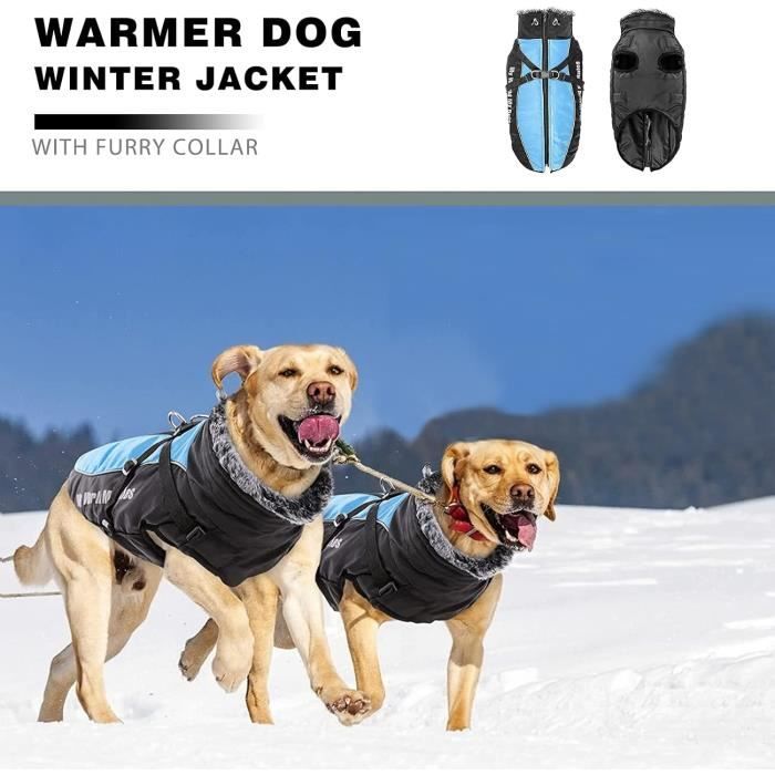 Impermeable chien moyen top