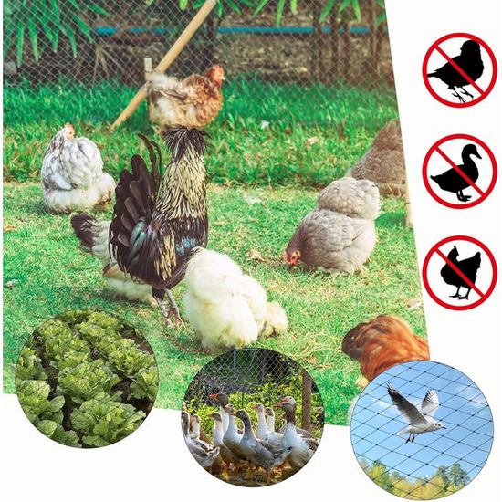 Keystar 4m X 10m Filet Anti Oiseaux, Filet De Protection Oiseaux, Filet