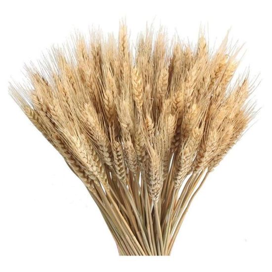 Fleurs artificielles et séchées de décoration intérieure de la maison en 100% soie Fleurs artificielles et séchées de décoration intérieure de la maison en 100% soie