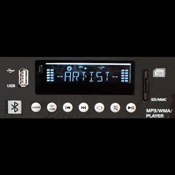 Enceinte mobile amplifiée 8/20cm 300W USB/SD/BT + Micro VHF +