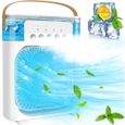 Mini climatiseur portable – Refroidissement rapide 50-55°C – 3 vitesses + 5 modes pulvérisation – Pour bureau, maison et extérieur