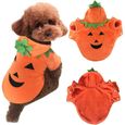 Costume de Squelette pour Chiot Pull /à Capuche pour Animal Domestique Moyenne et Grande Taille Costume de f/ête de No/ël LONTG D/éguisement dhalloween pour Animaux domestiques de Petite