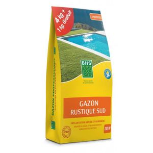 GAZON NATUREL Gazon Rustique SUD, marque BHS, sac de 5 kilos don