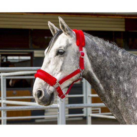 Harnais De Conduite Cheval SHOWMEN CRAFT - Nylon Rouge/noir - Strass Sur Front - 4 Tailles (Shetland à Cob)