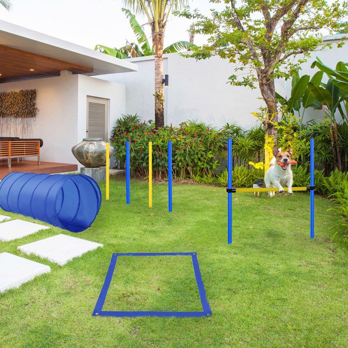 Set dagility pour chien - Bleu réglable - Tunnel Ø60×148 cm - Saut réglable H86 cm - 4 piquets de slalom