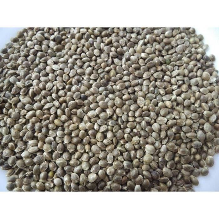 Graines De Chanvre Décortiquées Bio - 5 Kg - Végétalien, Sans Gluten - Riches En Protéines